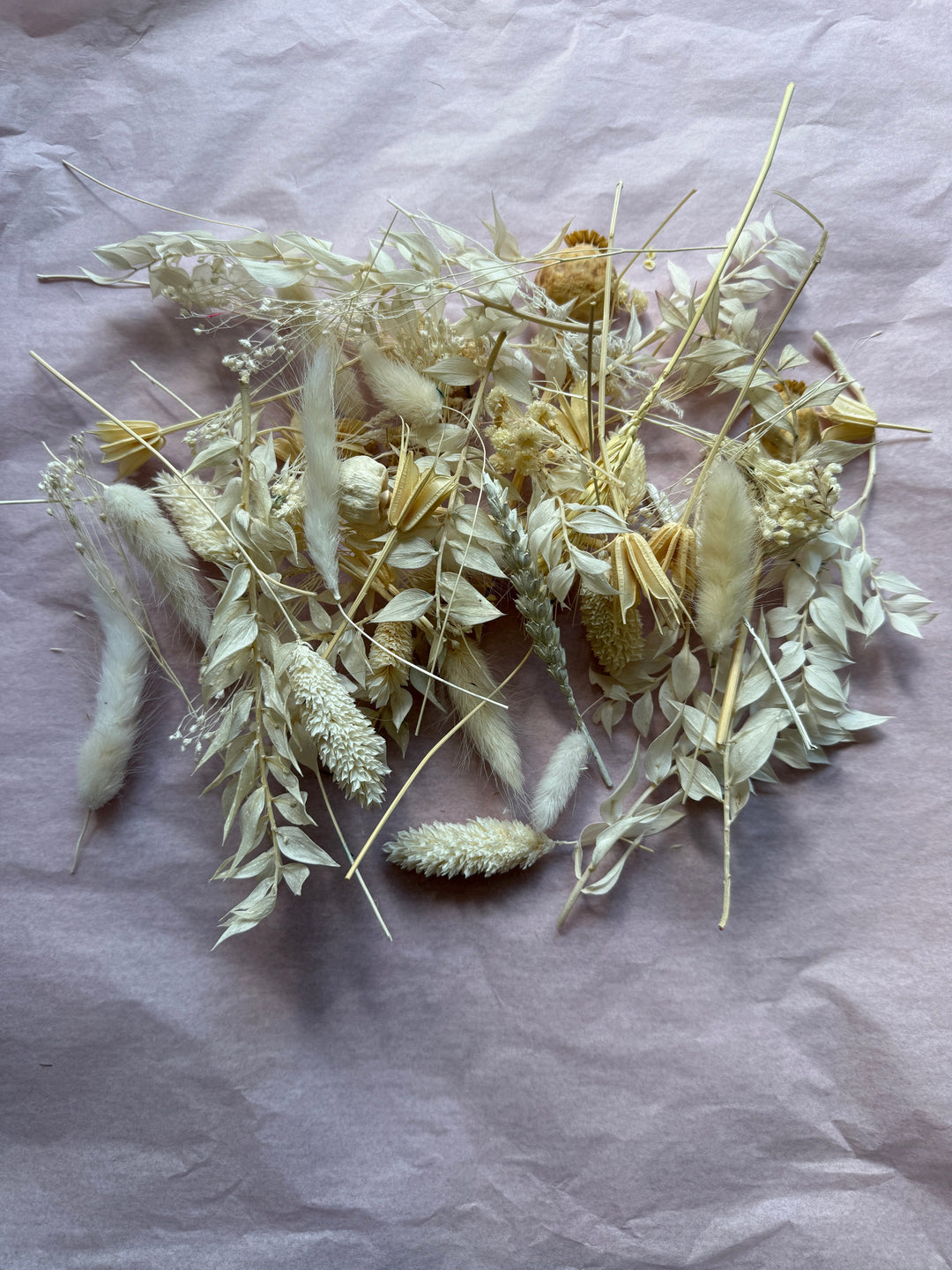 Offcut Dried Flowers - Pampas Tallo