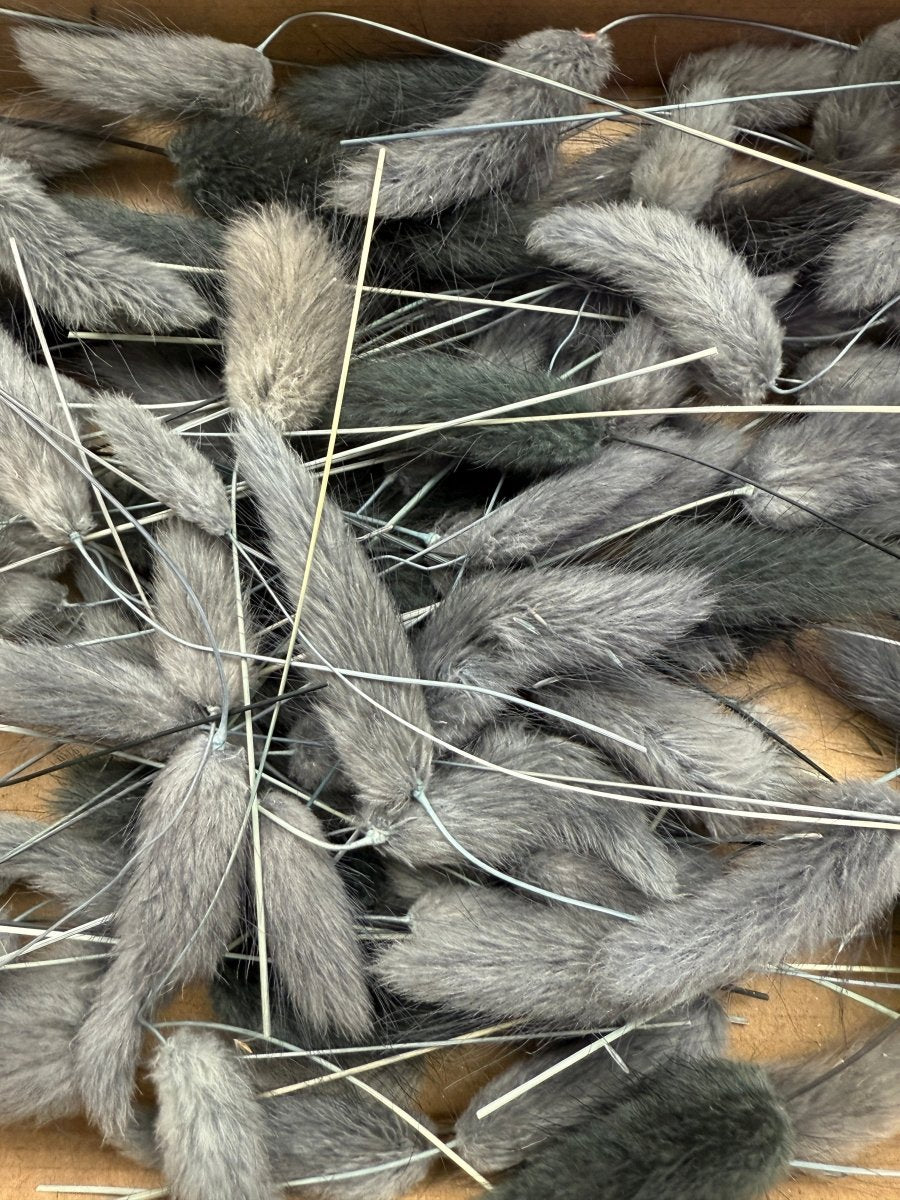 Offcut Dried Flowers - Pampas Tallo