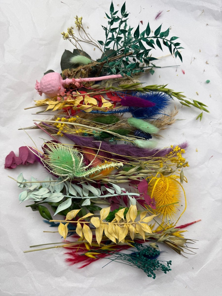 Offcut Dried Flowers - Pampas Tallo