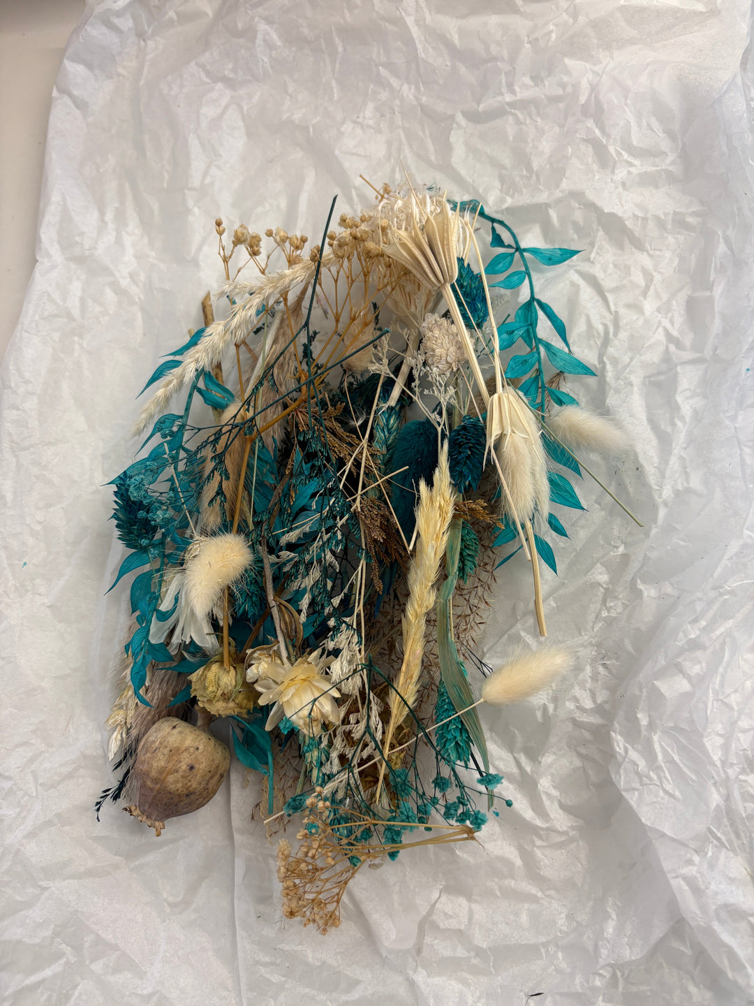 Offcut Dried Flowers - Pampas Tallo