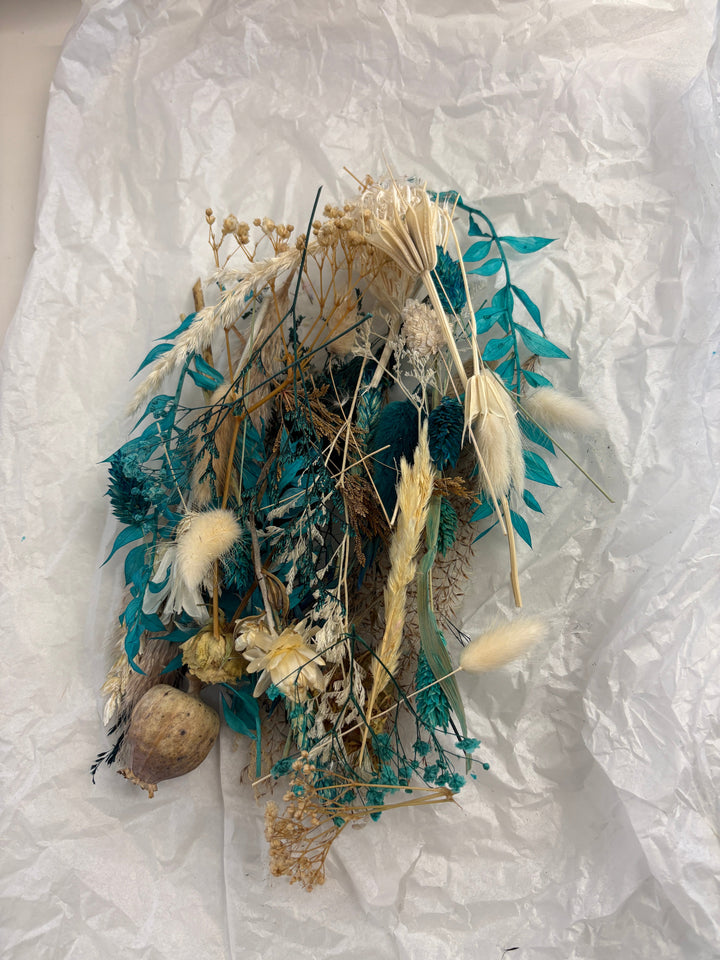 Offcut Dried Flowers - Pampas Tallo