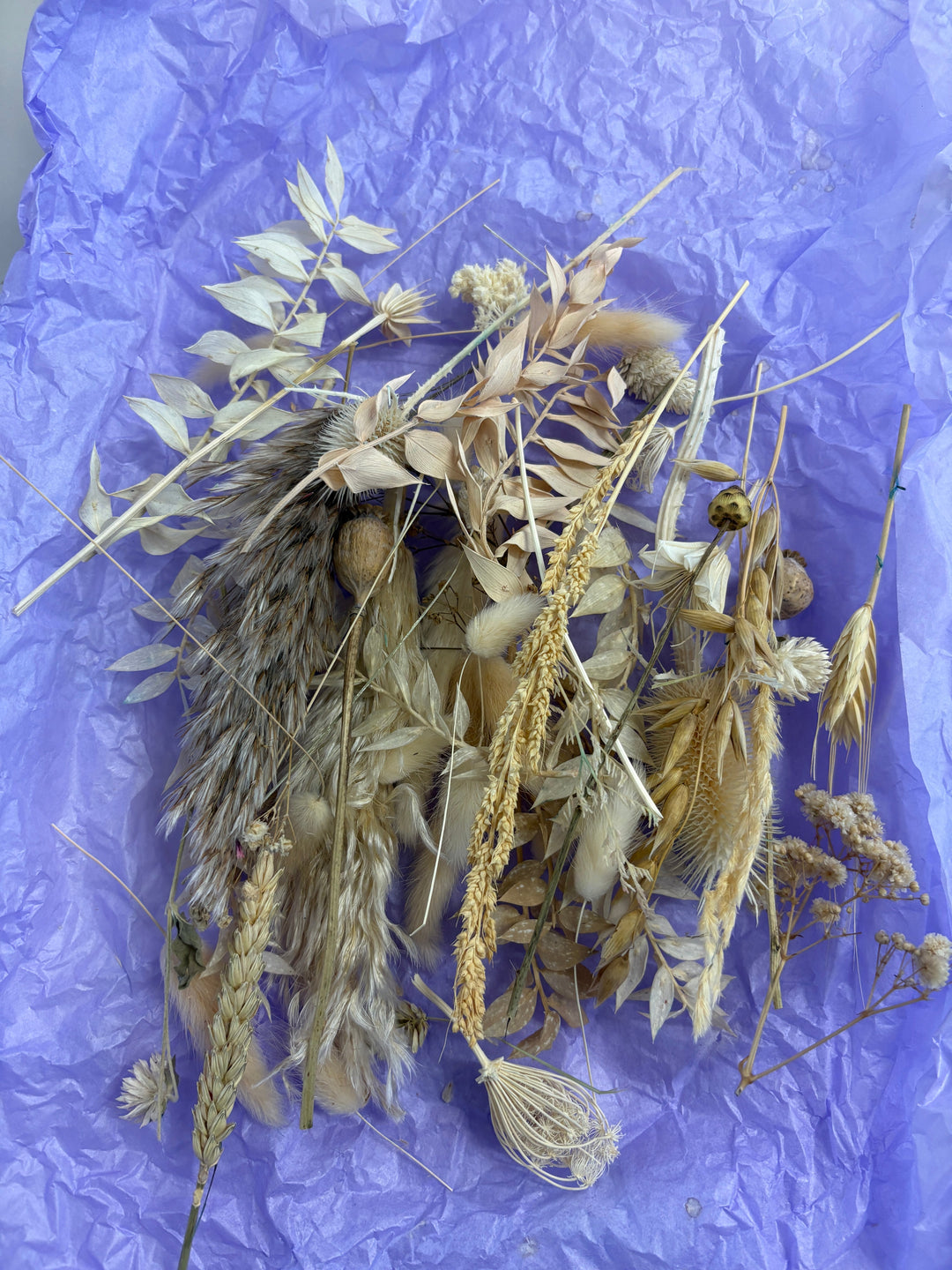 Offcut Dried Flowers - Pampas Tallo