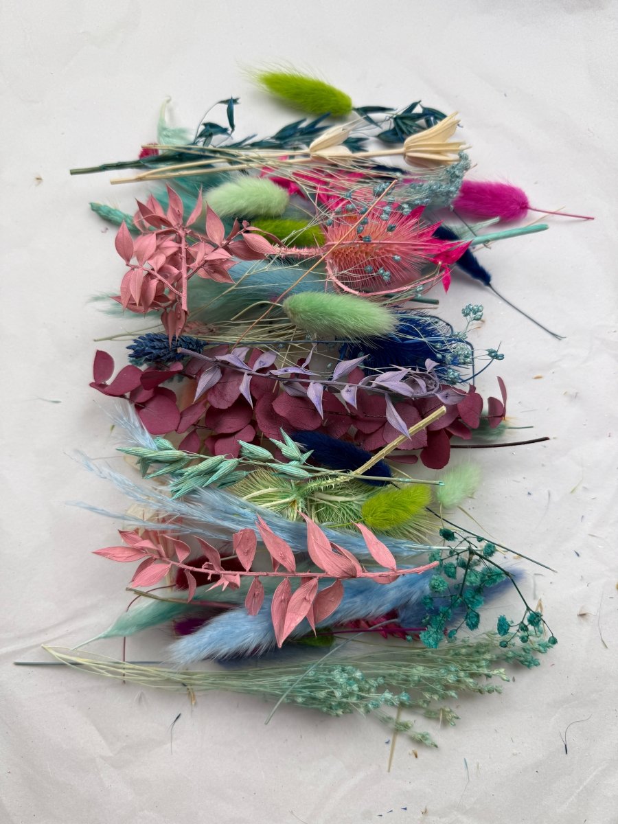 Offcut Dried Flowers - Pampas Tallo