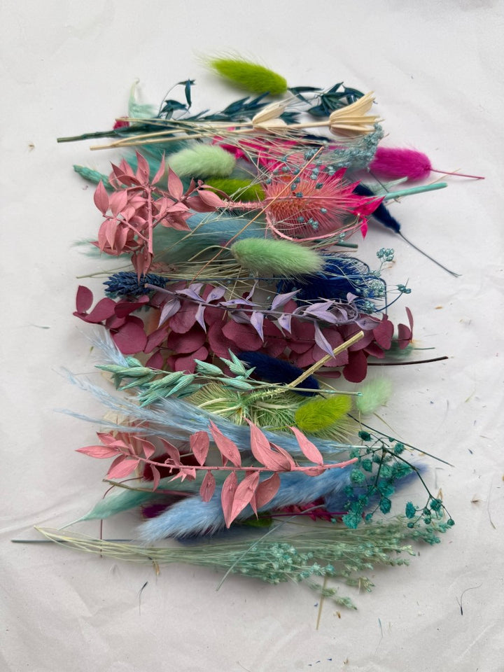 Offcut Dried Flowers - Pampas Tallo