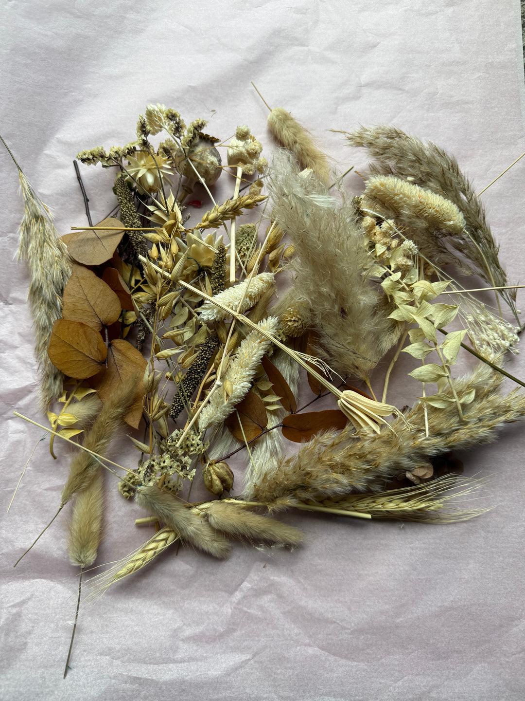 Offcut Dried Flowers - Pampas Tallo