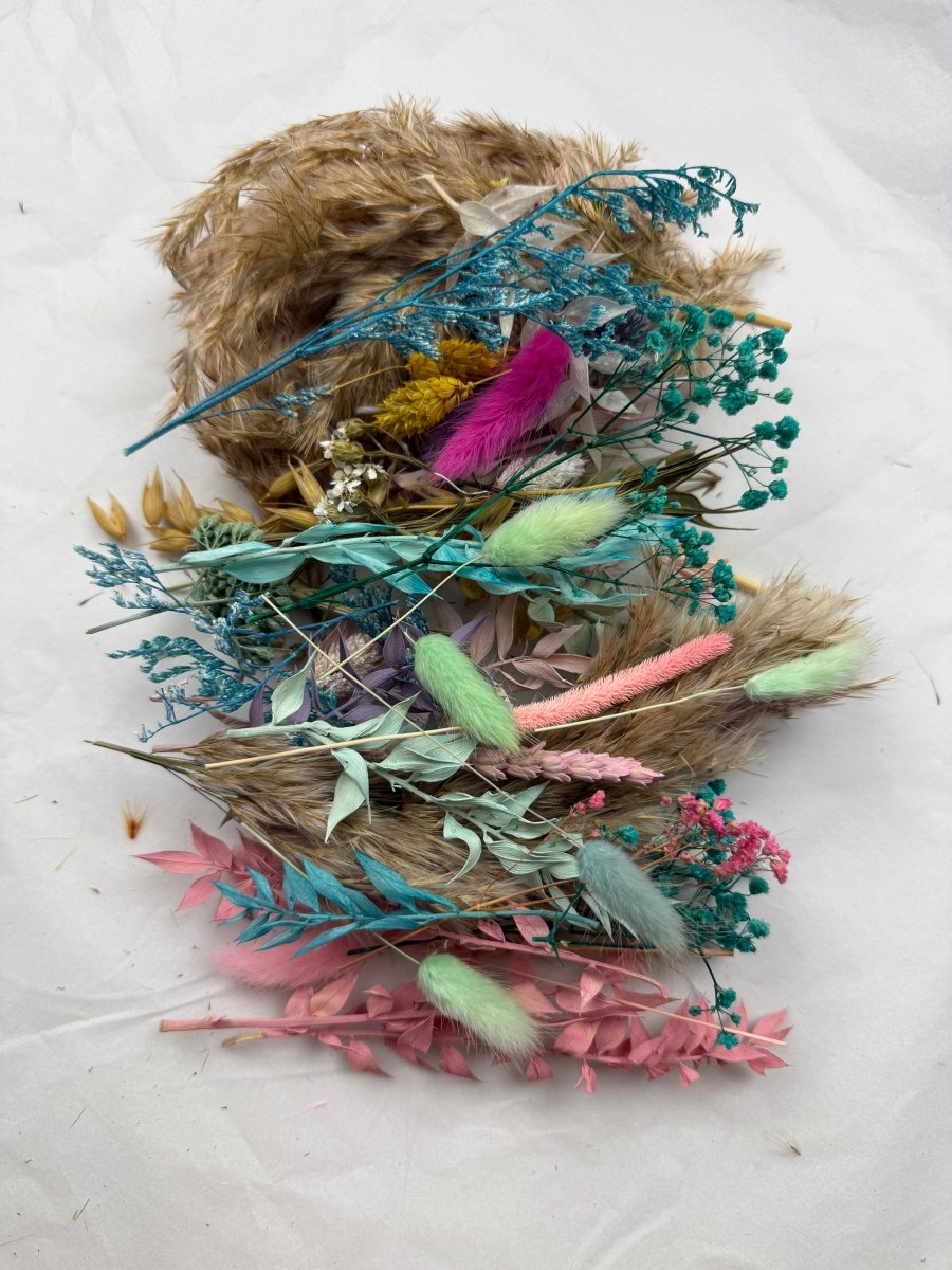 Offcut Dried Flowers - Pampas Tallo