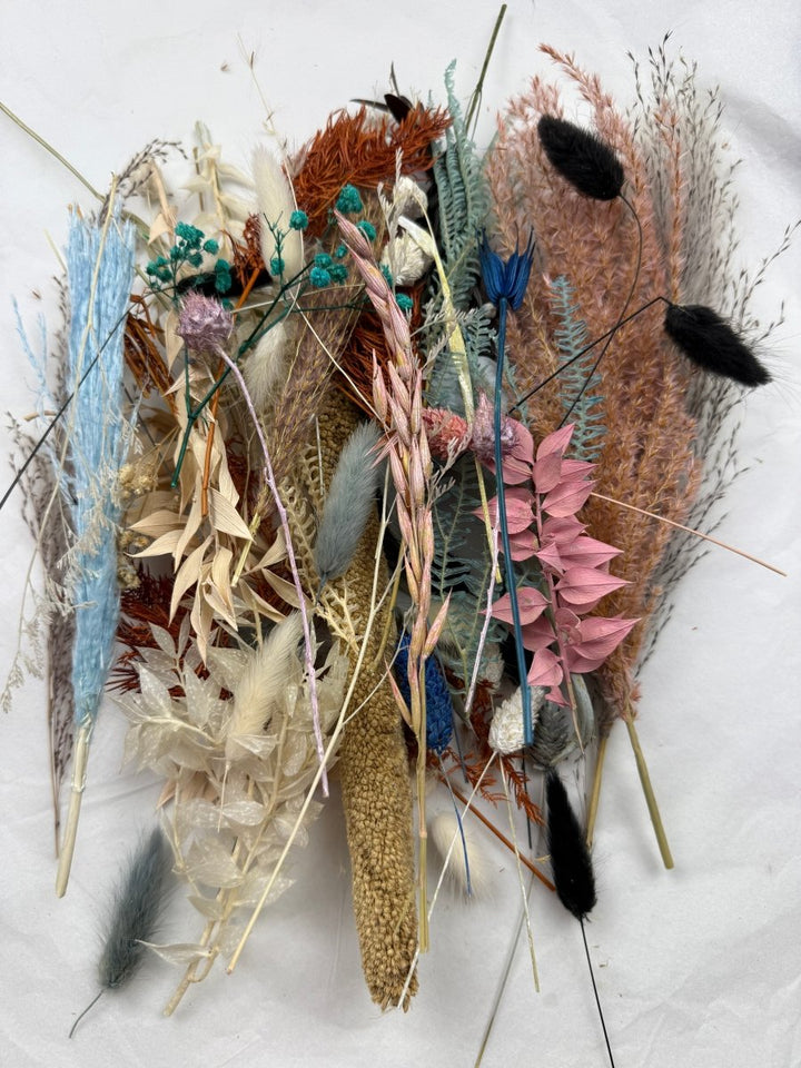 Offcut Dried Flowers - Pampas Tallo