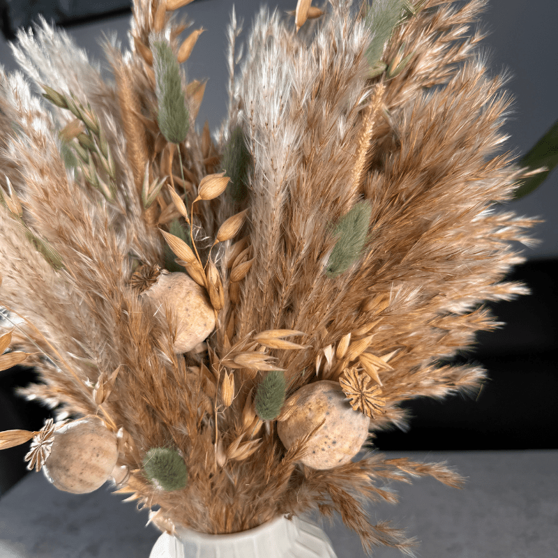 Olivia Dried Flower Arrangement In Natural & Sage - Pampas Tallo