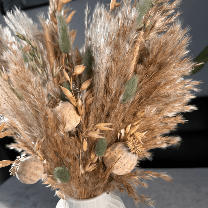 Olivia Dried Flower Arrangement In Natural & Sage - Pampas Tallo
