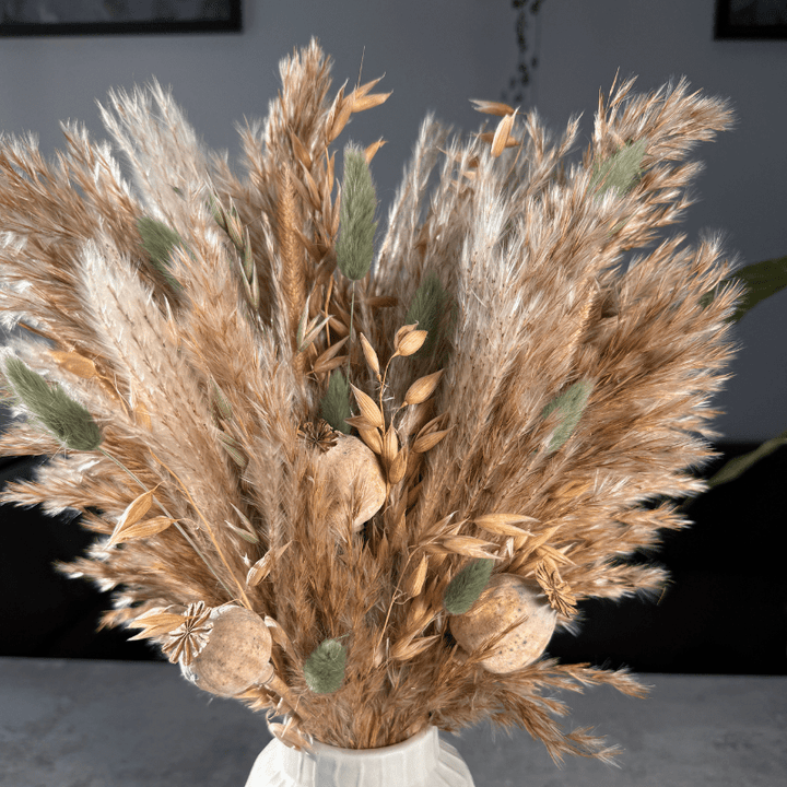 Olivia Dried Flower Arrangement In Natural & Sage - Pampas Tallo