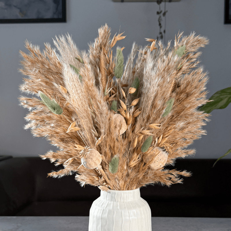 Olivia Dried Flower Arrangement In Natural & Sage - Pampas Tallo
