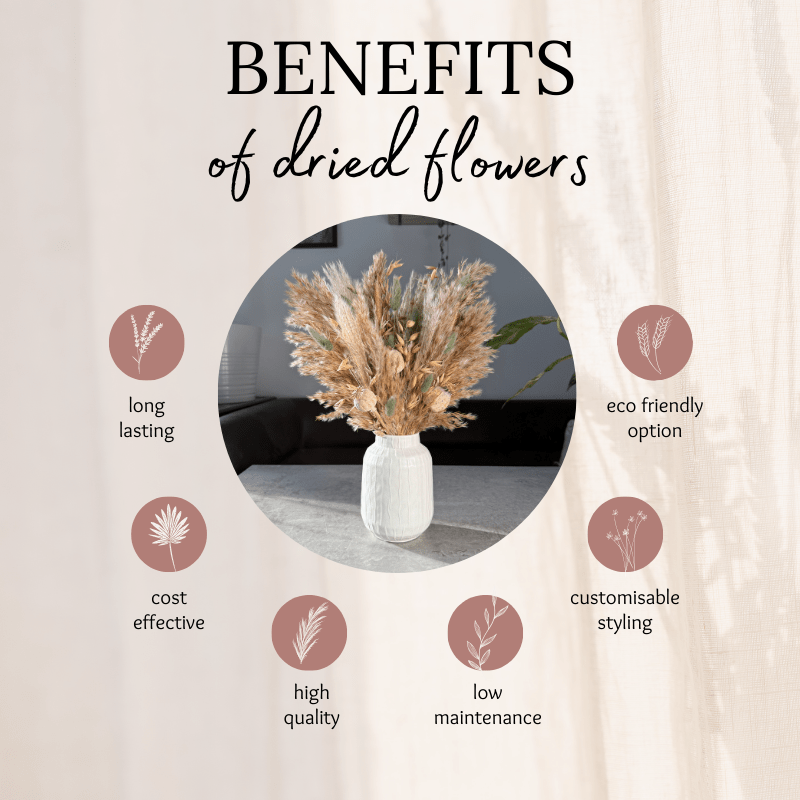 Olivia Dried Flower Arrangement In Natural & Sage - Pampas Tallo