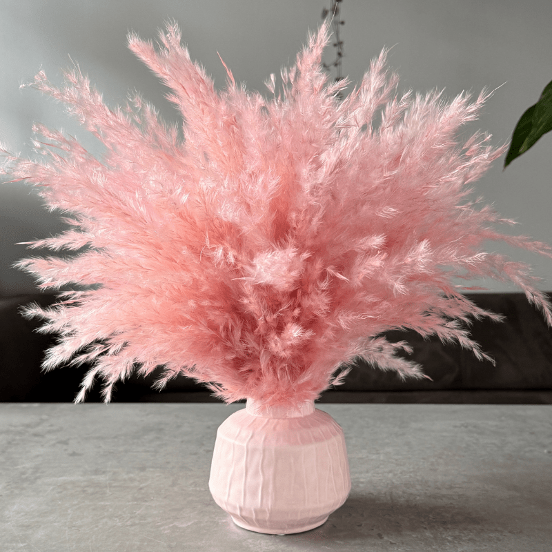 Ophelia Dried Flower Arrangement In Fluffy Pink Pampas Grass - Pampas Tallo
