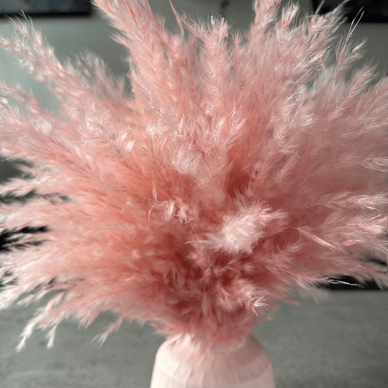 Ophelia Dried Flower Arrangement In Fluffy Pink Pampas Grass - Pampas Tallo