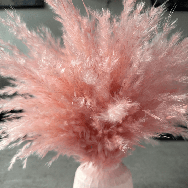 Ophelia Dried Flower Arrangement In Fluffy Pink Pampas Grass - Pampas Tallo
