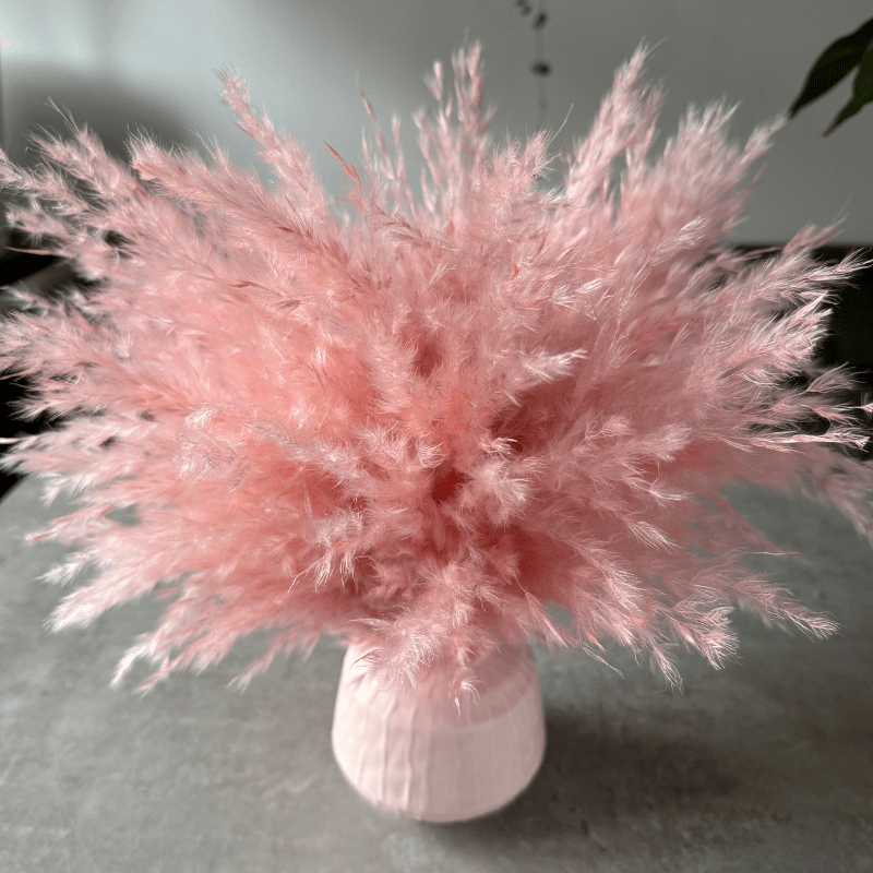 Ophelia Dried Flower Arrangement In Fluffy Pink Pampas Grass - Pampas Tallo