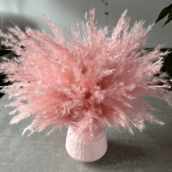 Ophelia Dried Flower Arrangement In Fluffy Pink Pampas Grass - Pampas Tallo