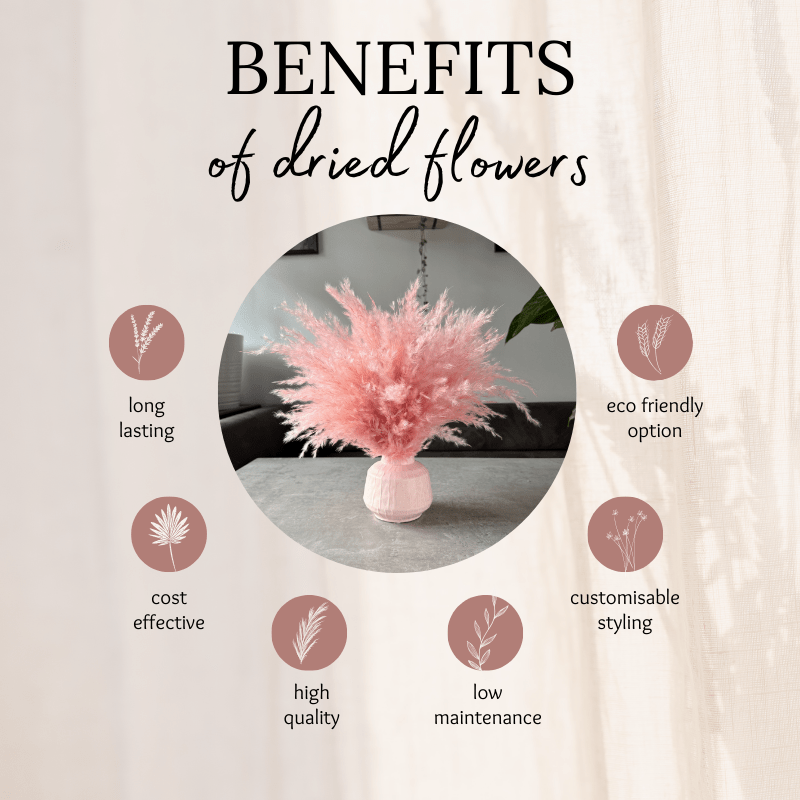 Ophelia Dried Flower Arrangement In Fluffy Pink Pampas Grass - Pampas Tallo