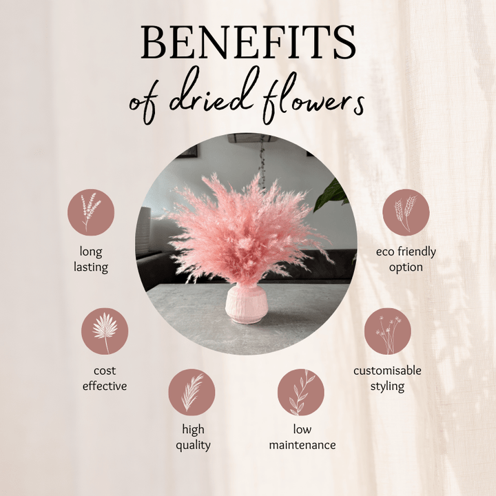 Ophelia Dried Flower Arrangement In Fluffy Pink Pampas Grass - Pampas Tallo