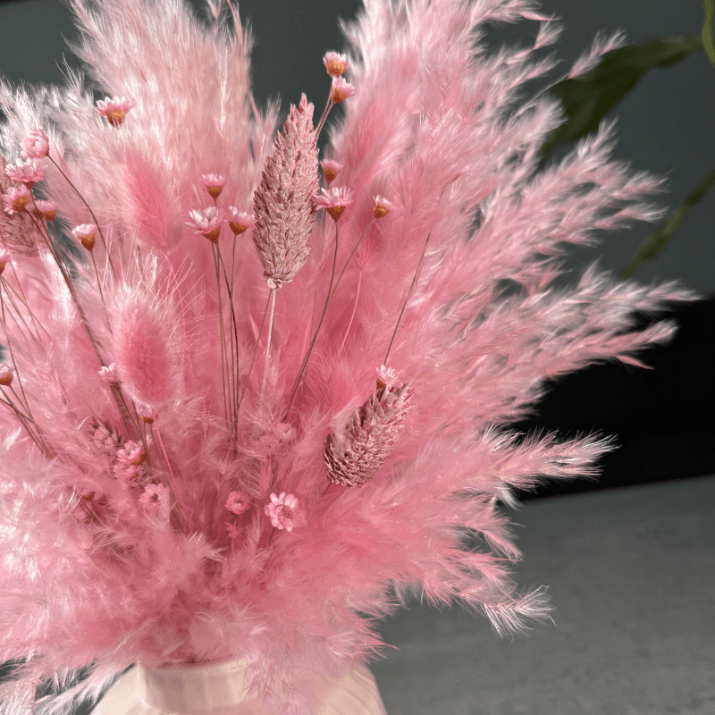 Penelope Dried Flower Arrangement In Pink - Pampas Tallo