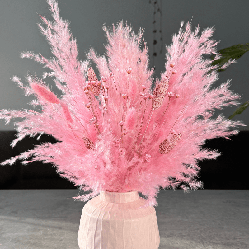 Penelope Dried Flower Arrangement In Pink - Pampas Tallo