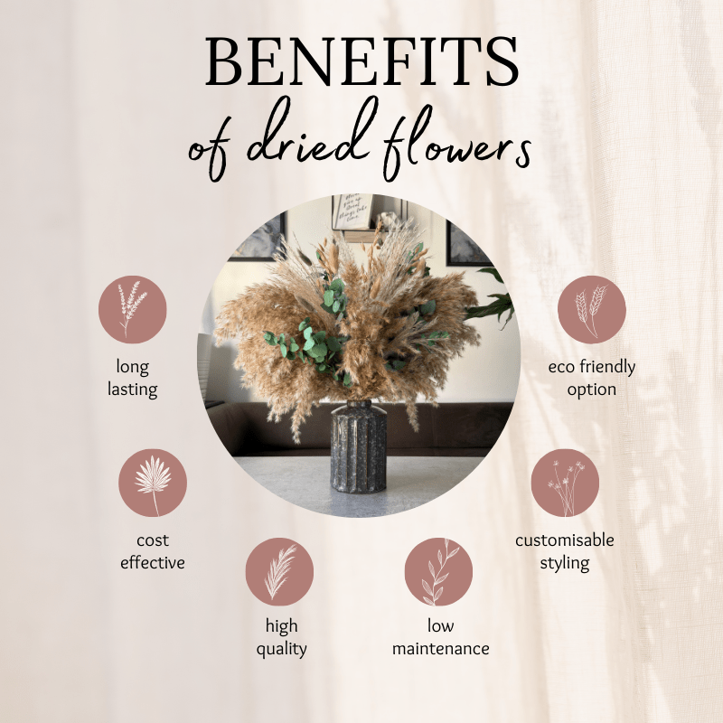 Samantha Dried Flower Arrangement In Natural, Sage Green & Eucalyptus - Pampas Tallo