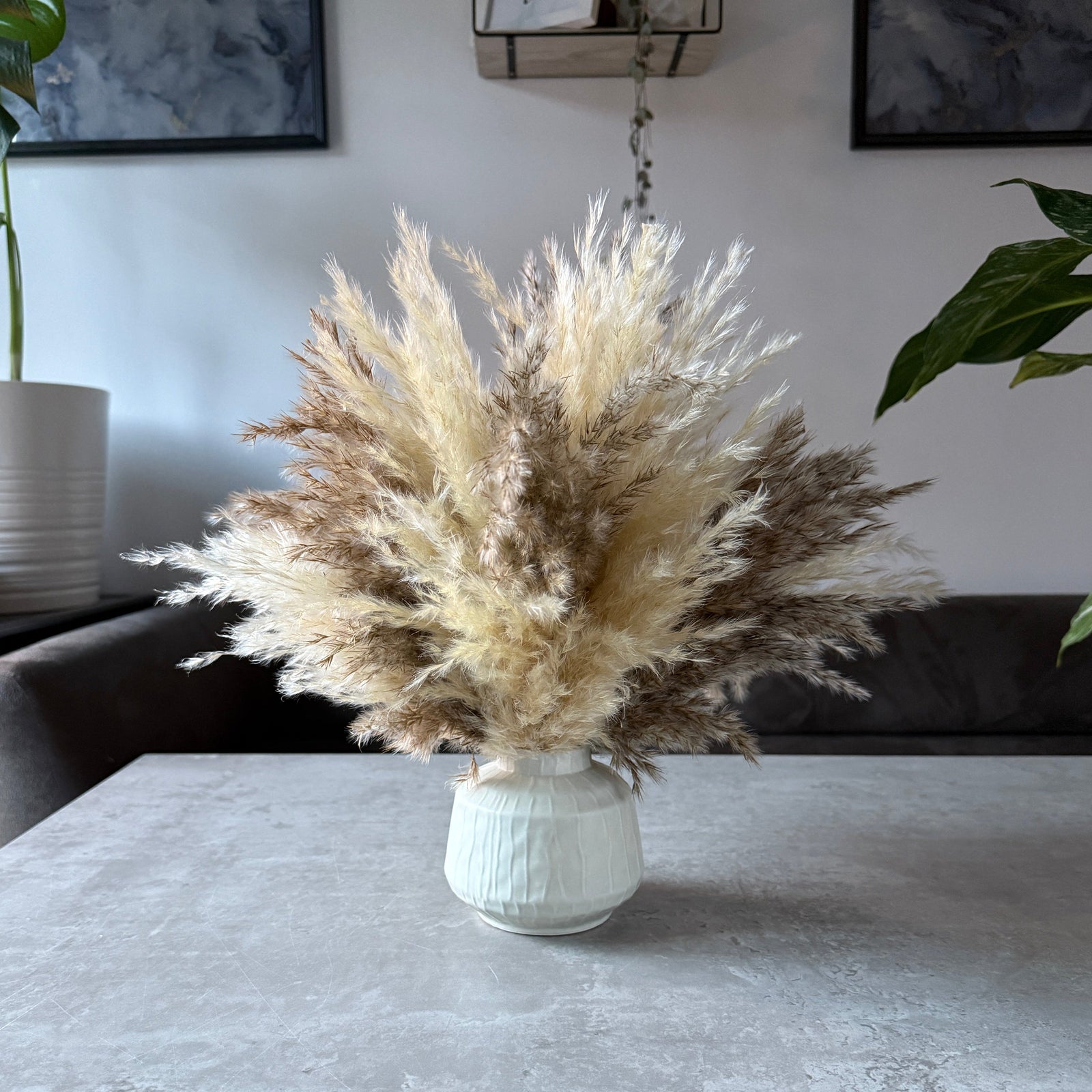 Tallulah Dried Flower Arrangement | Cream & Natural Fluffy Pampas Grass - Pampas Tallo