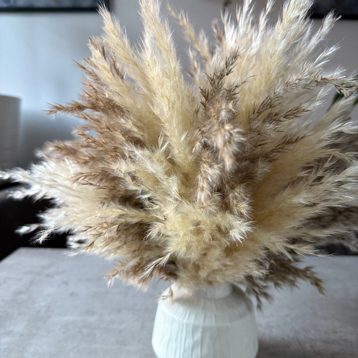 Tallulah Dried Flower Arrangement | Cream &amp; Natural Fluffy Pampas Grass - Pampas Tallo