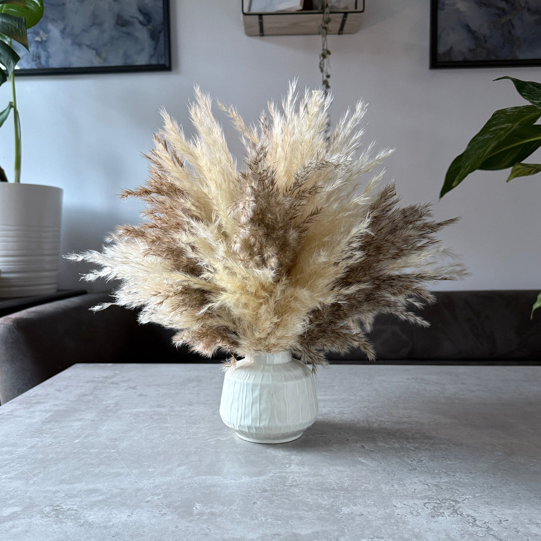 Tallulah Dried Flower Arrangement | Cream &amp; Natural Fluffy Pampas Grass - Pampas Tallo