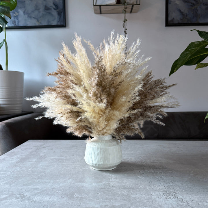 Tallulah Dried Flower Arrangement | Cream &amp; Natural Fluffy Pampas Grass - Pampas Tallo