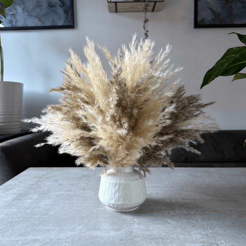 Tallulah Dried Flower Arrangement In Cream & Natural Fluffy Pampas Grass - Pampas Tallo