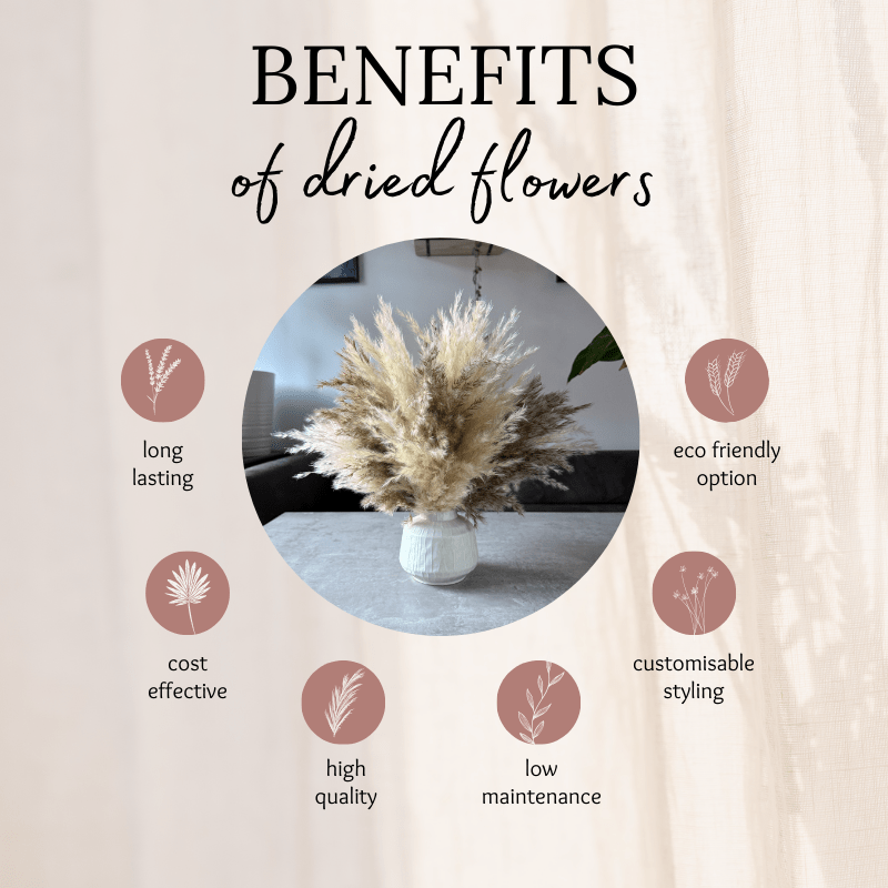 Tallulah Dried Flower Arrangement In Cream & Natural Fluffy Pampas Grass - Pampas Tallo