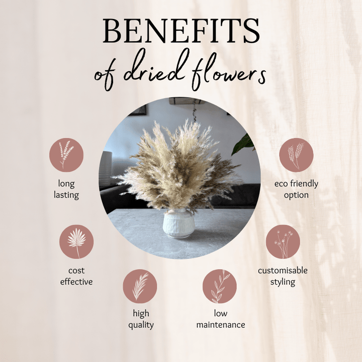 Tallulah Dried Flower Arrangement In Cream & Natural Fluffy Pampas Grass - Pampas Tallo