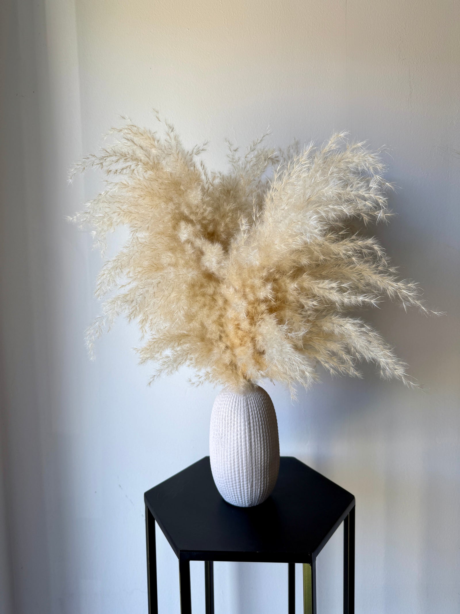 Textured Vase & Pampas - Pampas Tallo