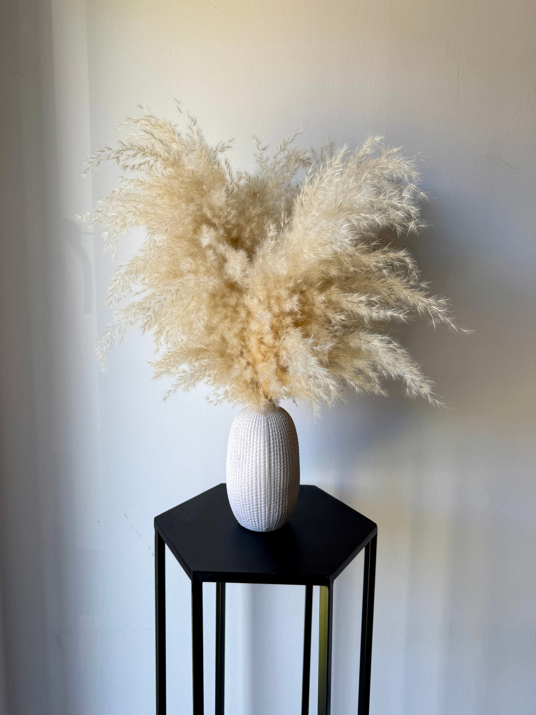 Textured Vase &amp; Pampas - Pampas Tallo