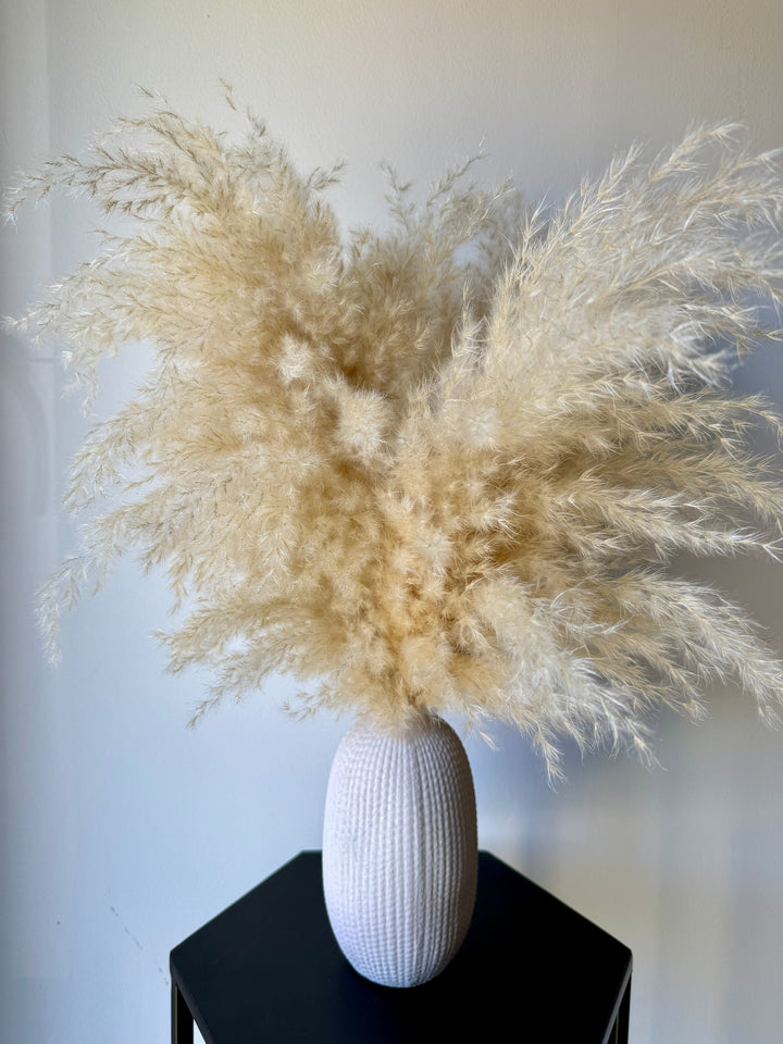 Textured Vase &amp; Pampas - Pampas Tallo