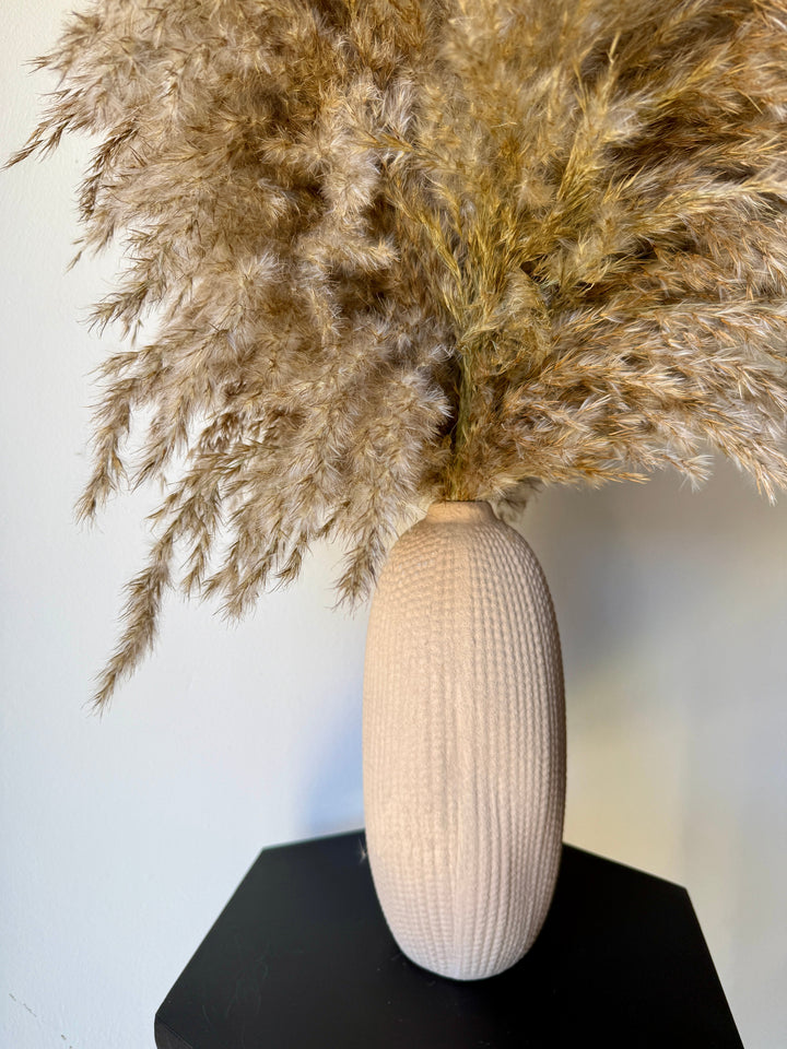 Textured Vase &amp; Pampas Reed - Pampas Tallo