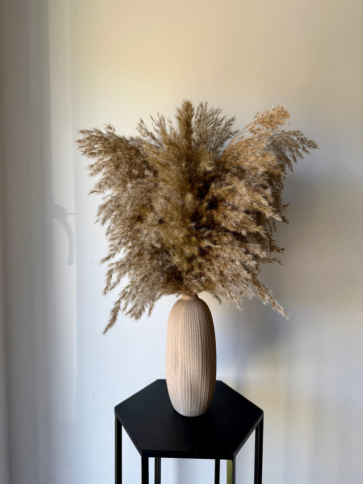 Textured Vase &amp; Pampas Reed - Pampas Tallo