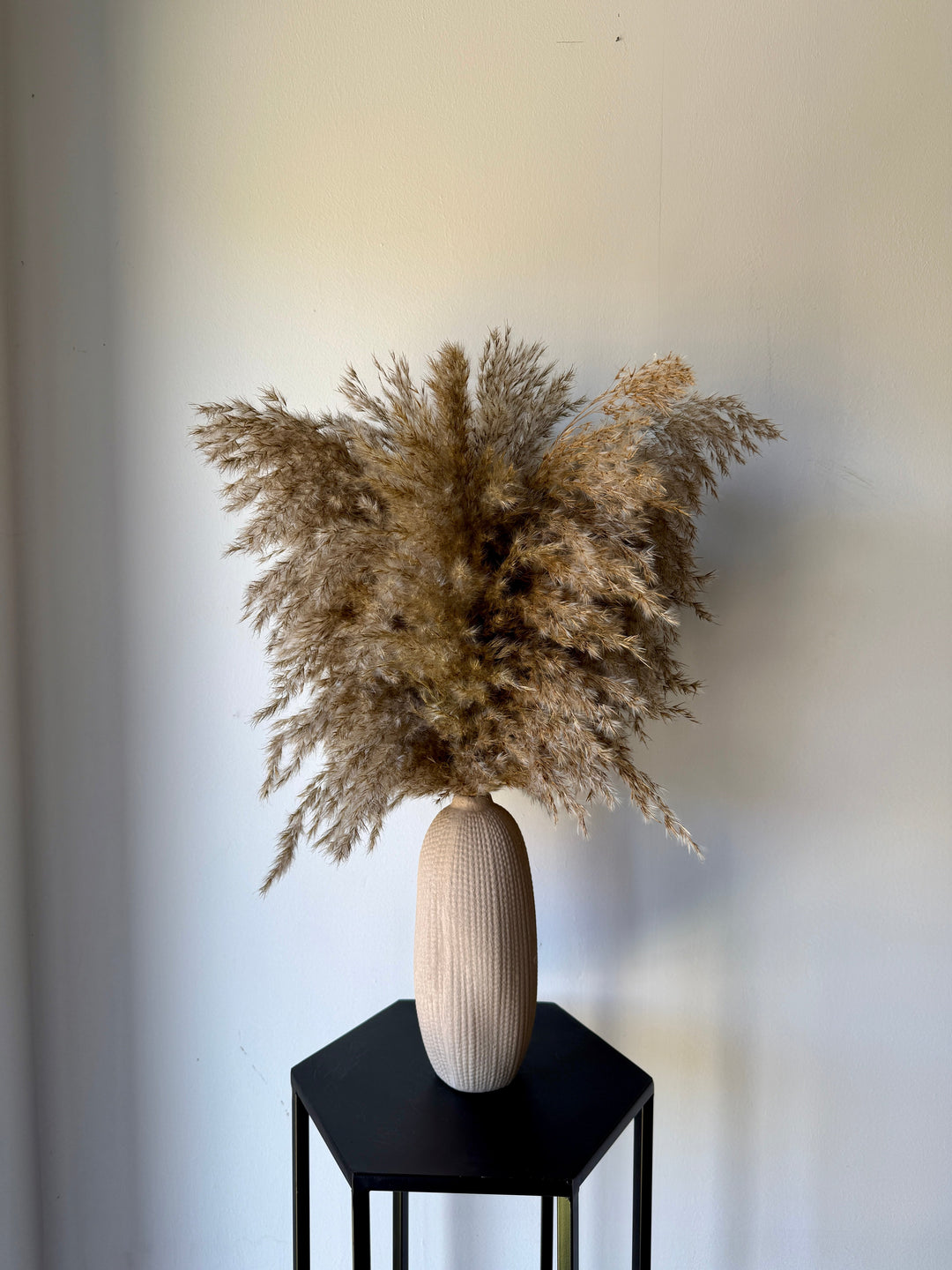 Textured Vase &amp; Pampas Reed - Pampas Tallo