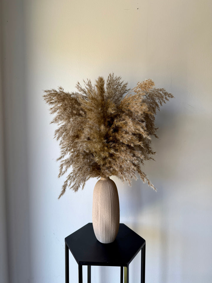 Textured Vase &amp; Pampas Reed - Pampas Tallo
