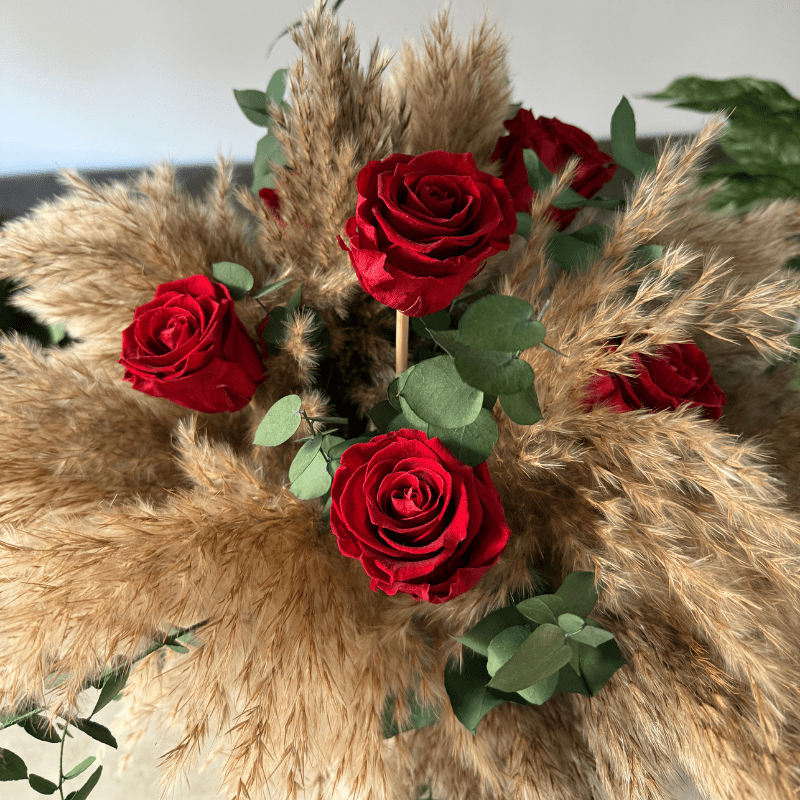Vera Dried Flower Arrangement In Natural Pampas, Red Roses & Eucalyptus - Pampas Tallo