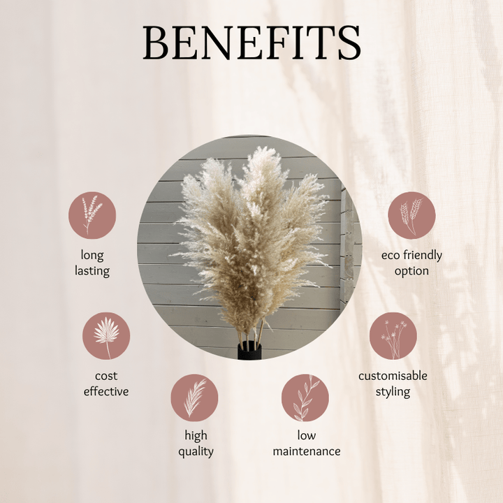 XL Extra Fluffy Pampas Grass In Cream - Pampas Tallo