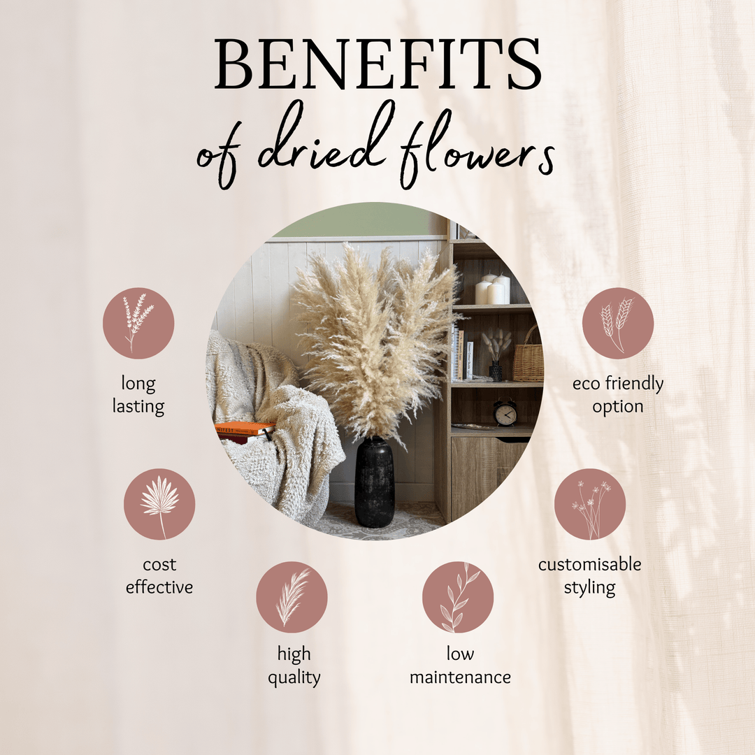 XL Extra Fluffy Pampas Grass In Cream - Pampas Tallo