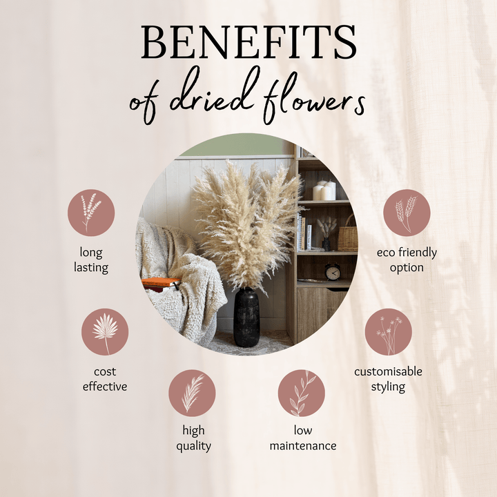 XL Extra Fluffy Pampas Grass In Cream - Pampas Tallo