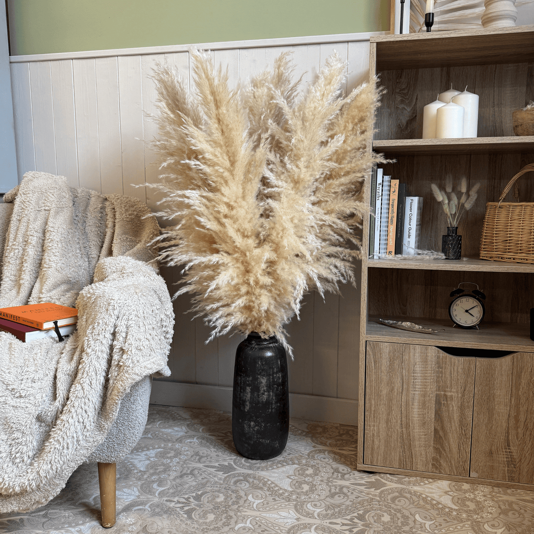 XL Extra Fluffy Pampas Grass In Cream - Pampas Tallo