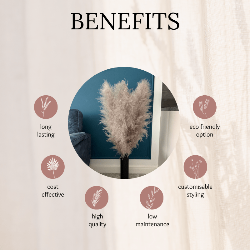 XL Extra Fluffy Pampas Grass In Grey - Pampas Tallo