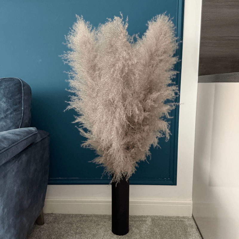 XL Extra Fluffy Pampas Grass In Grey - Pampas Tallo