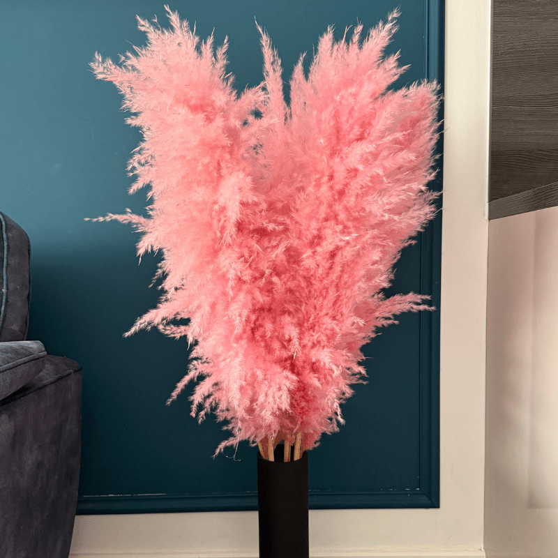 XL Extra Fluffy Pampas Grass In Pink - Pampas Tallo