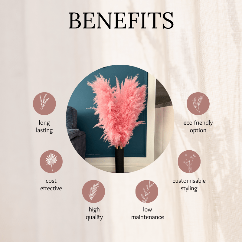 XL Extra Fluffy Pampas Grass In Pink - Pampas Tallo