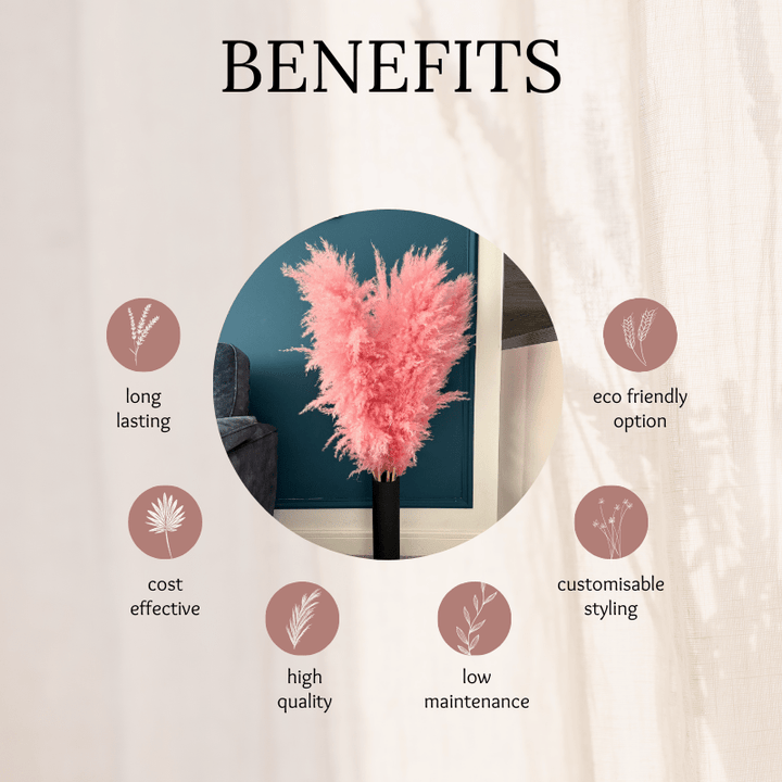 XL Extra Fluffy Pampas Grass In Pink - Pampas Tallo